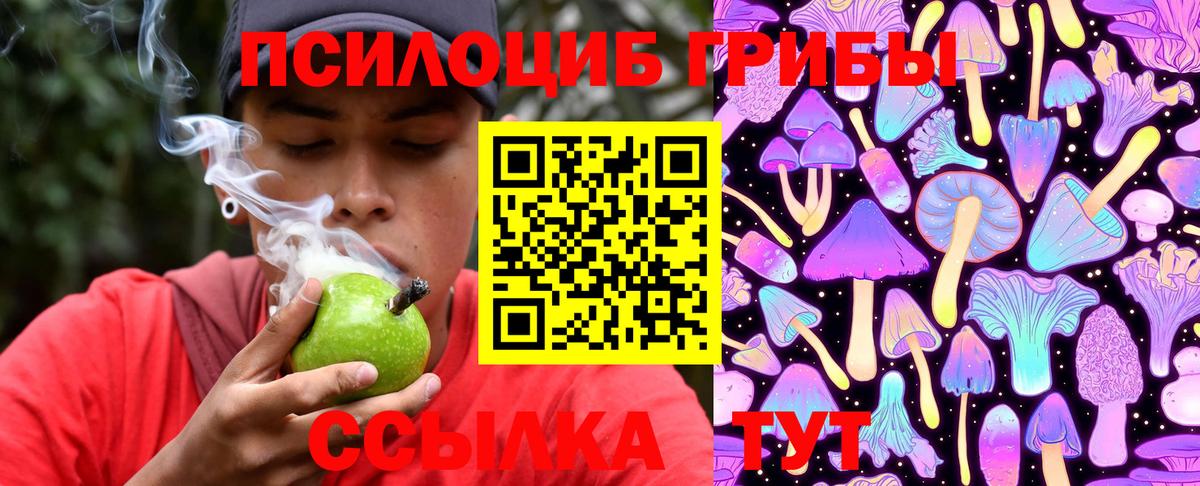 Псилоцибиновые грибы GOLDEN TEACHER  Псилоцибиновые грибы Psilocybine cubensis  Орёл  Вход с VPN 