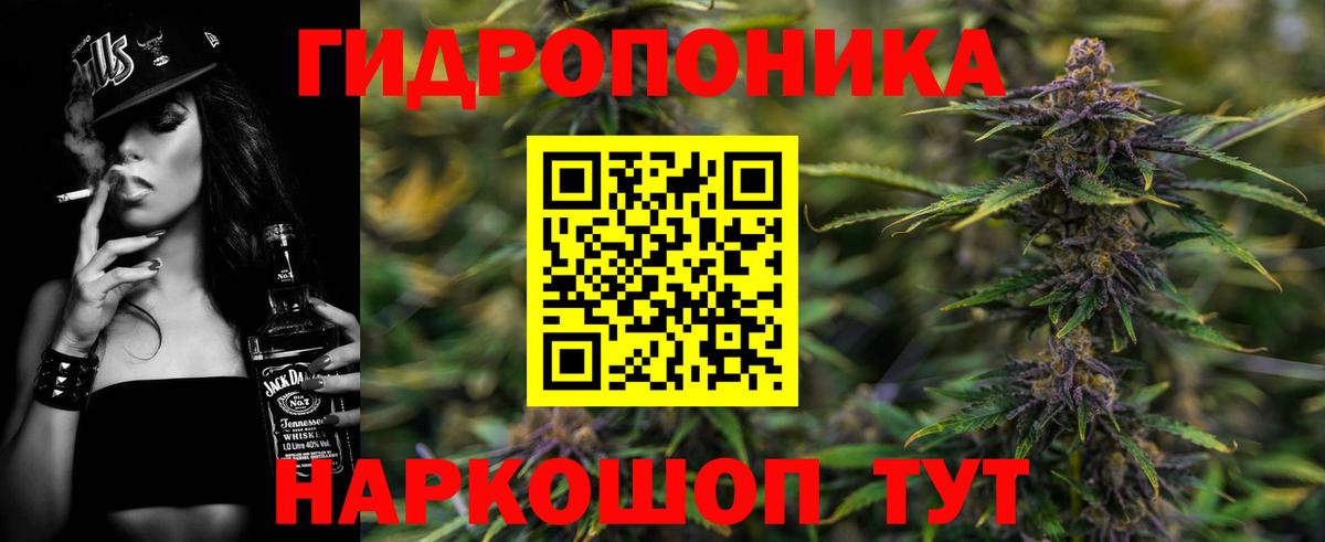 Конопля план Орёл